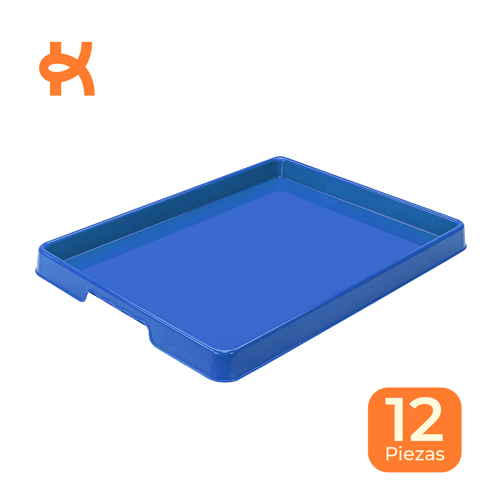 Large activity tray, blue, 12-piece pack
